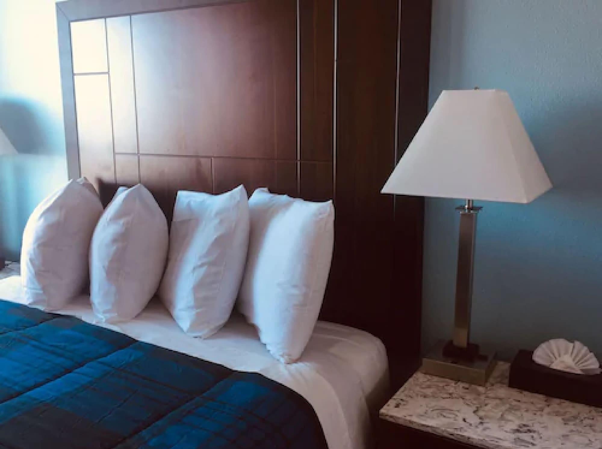 Dolphin Cove Motel Писмо Бич Экстерьер фото